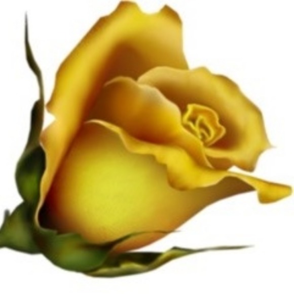 rosesixx